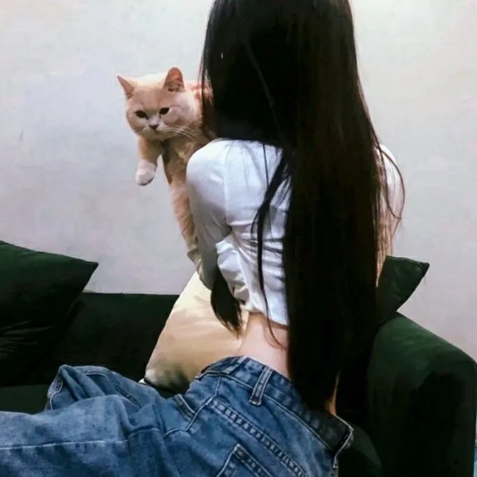 四季如秋